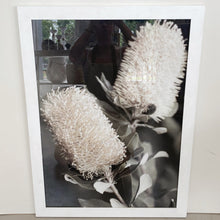 Load image into Gallery viewer, BANKSIA PRINT
