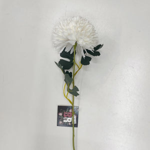 WHITE CHRYSANTHEMUM STEM