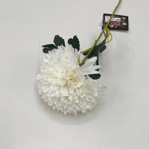 WHITE CHRYSANTHEMUM STEM