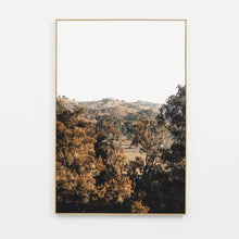 Load image into Gallery viewer, BUSHLAND OUTLOOK FRAMED CANVAS
