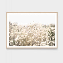 Load image into Gallery viewer, BUNNY TAIL FIELD FRAMED PRINT

