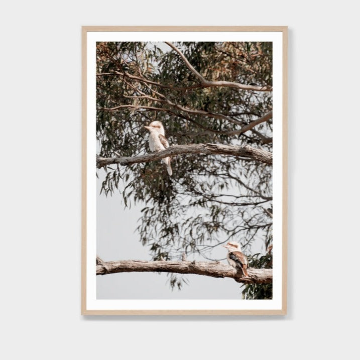 BIRDS EYE VIEW FRAMED PRINT